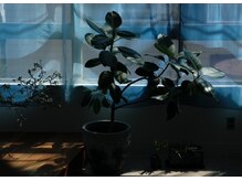 ヨリソイの雰囲気（ゆったりとした落ち着きのある店内。）