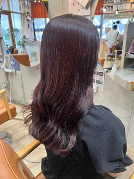 コージー(Kozy) レッドブラウンカラー/ヨシンモリ巻き