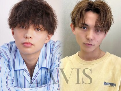 ラヴィス(LAVIS)の写真