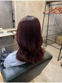 ボルドーカラー
