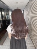 ラベンダーグレー氏木
