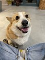 バーチ(BIRCH) 我が家の愛犬ムギちゃんです。