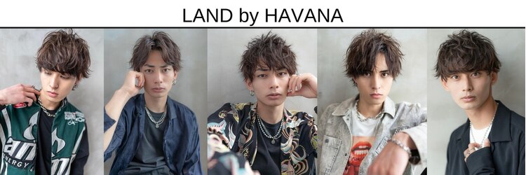 ランドバイハバナ 浅草(LAND by HAVANA)のサロンヘッダー