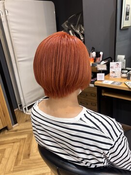 アルター(aL ter) 【オレンジカラー】ミニウルフ/チェリーブラウン/小野/鎌取