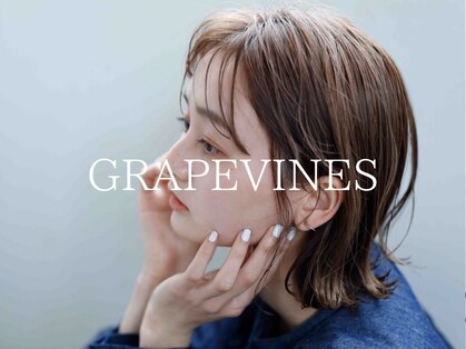グレープバイン(GRAPEVINES)の写真