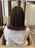 ショコラブラウン