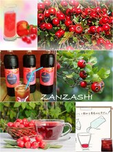 SANZASHI施術中もホッとひと息♪