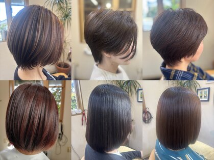 オリーブの写真