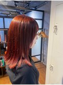深みレッド