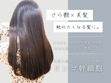 オーストヘアー リュウール(Aust hair Lueur)の雰囲気（リンゴ幹細胞であなた史上最高髪へ[ヘッドスパ]）