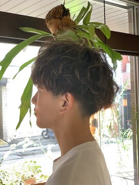 イロ(Ilo) マッシュ