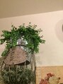 レガロ(Regalo) レガロの中の植物たちに癒されます。