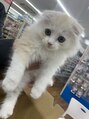 アヤラグランスパ 船橋店(AyaLA GRAN SPA) 猫ちゃんとても大好きです。猫好きな方はお声掛けください(笑)