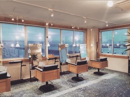 ココ(coco)の写真