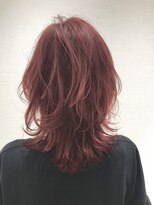 フォーカス 南流山店(FOCUS)&nbsp;FOCUS ウルフレイヤー