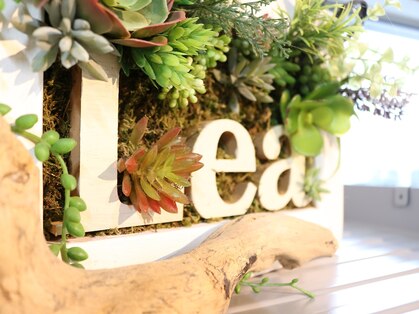 レア(Lea)の写真