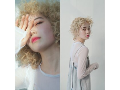 キーノ(kino)の写真