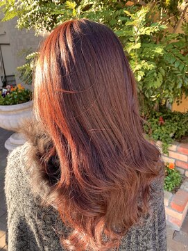 ファーレンピュアスウィート(fahren-pure-suite) Christmas Rosso