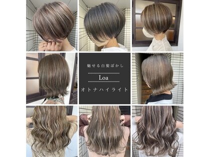ロア(Loa)の写真