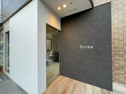 フェルナ(ferna)の写真