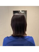 ボルドールビーカラー×ブラントボブ
