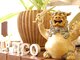 アプリコ(Aprico)の写真