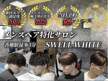 スウェルホワイト(SWELL WHITE)の写真