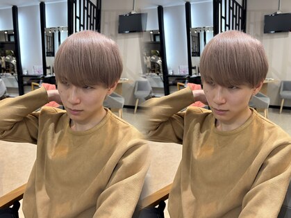 ソルバー(SOLVER)の写真