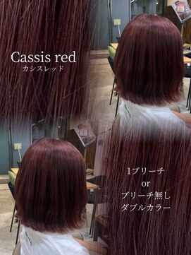 ビューレイギンザ(VIEW LEI GINZA) 似合わせ暖色/カシスレッド/カシスピンク