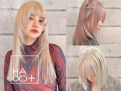 ハコ プラス(HACO+)の写真