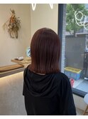 ピンクラベンダー