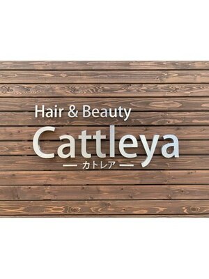 カトレア(Cattleya)