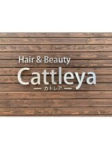 Cattleya【カトレア】