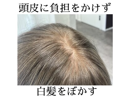 アトレー(ATRE)の写真