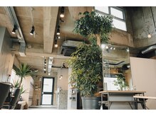 【Cue_の店内２】愛のある協賛のみで出来た【Cue_】を象徴する高さ３m超のシンボルツリー