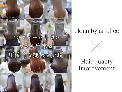 エレナ バイ アルテフィーチェ(elena by artefice)の写真