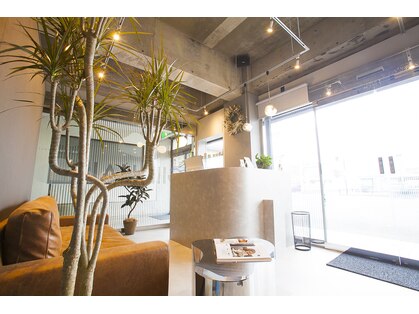 ジールヘアー(GIIL HAIR)の写真