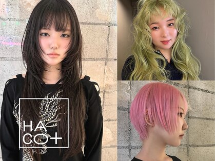 ハコ プラス(HACO+)の写真