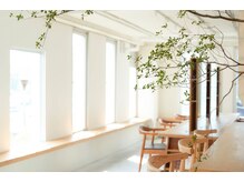 アビキュー(abiquiu)の雰囲気（窓が多く柔らかな光が差し込む店内は居心地が良いと好評です。）