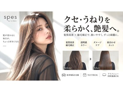 スペス バイ レブラン ヘア(spes by r'e blanc)の写真