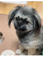 ヘアーワールド ゼロ(Hair world Ze:Ro)&nbsp;あめ 