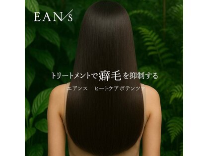 フォルマ FORMAの写真