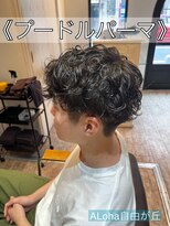 アロハ(ALoha) 《 プードルパーマ 》メンズパーマ!