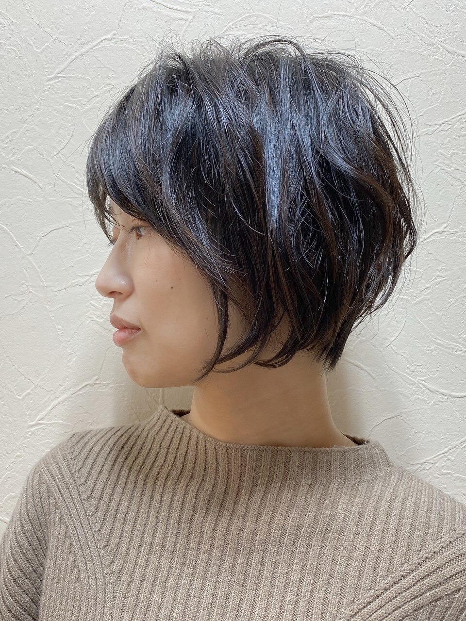 HSTI Vタイプ(ショート)-