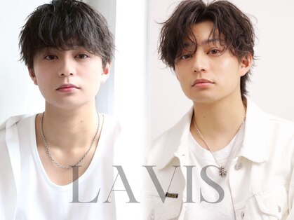 ラヴィス(LAVIS)の写真