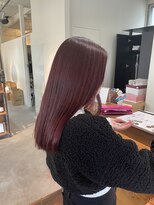 ポルトブルー(PORTE BLEUE) wine red    [mao]