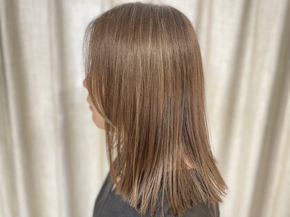 シュロ(Shuro 棕櫚)の写真