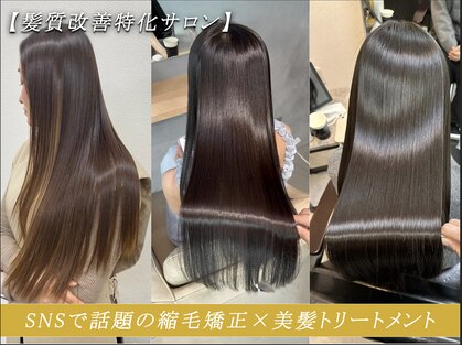 シンカ(shinka)の写真