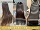 シンカ(shinka)の写真