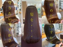 シオン(SHION)